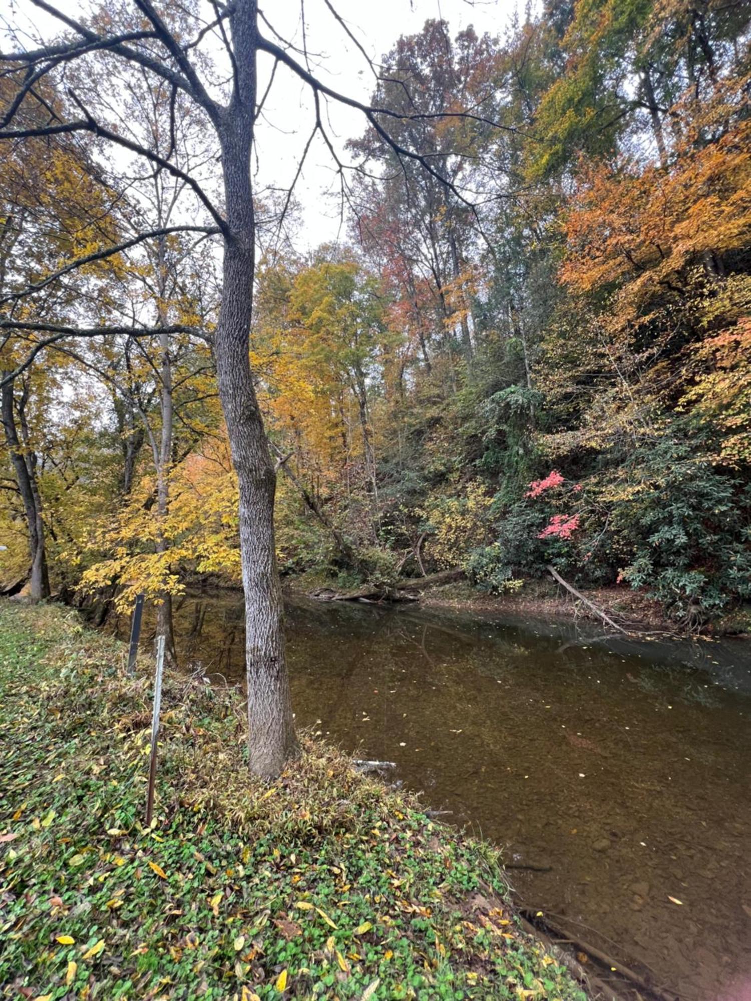 Firefly Fields 2-Acres With Guest House, Game Room, Mountain & River Views Sevierville Exterior foto
